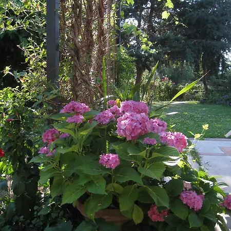 Casa Curlo Calvagese Della Riviera