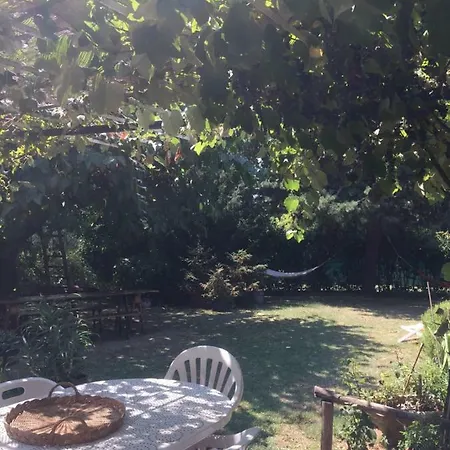 Casa Curlo Frühstückspension *