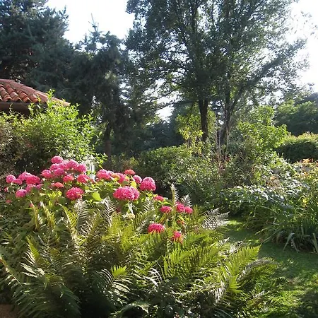 Bed & Breakfast Casa Curlo