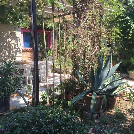 Bed & Breakfast Casa Curlo