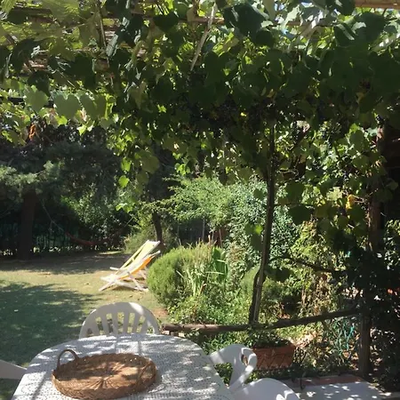 Casa Curlo Bed & Breakfast
